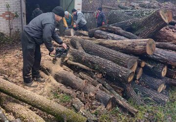 зображення_viber_2025-11-28_08-27-22-731