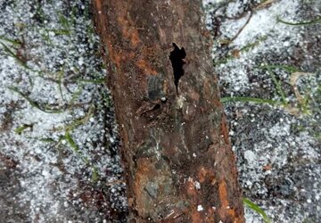 0-02-05-d9149ac91bd7abbf83d09f13b743ffdbb40e458a764ca7a19e5cf528759b705c_f40b65b07d466a19