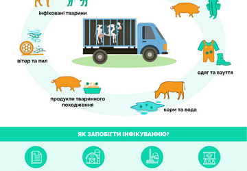 _Перевізники_Final