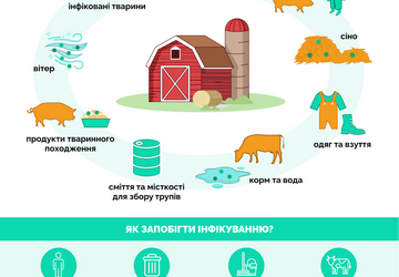 _Подвірні господарства_Final