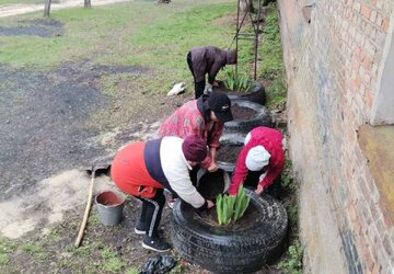 боровеннька