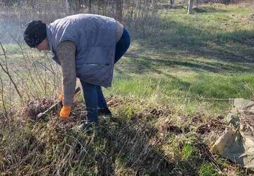 0-02-05-bf5402f142b4ceb2432e3190b7a1998c69f6002705aa39ed03e8da0f42270297_1c7017857903e0cb