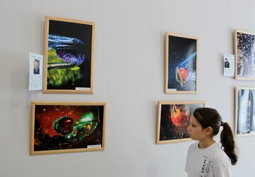 IMG_3643