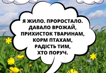 Не паліть суху траву 2