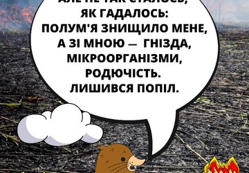 Не паліть суху траву 4